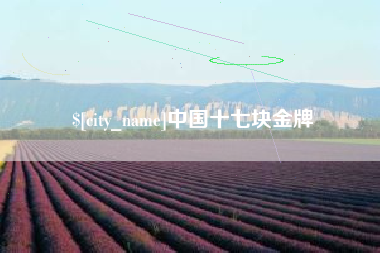 德清中国十七块金牌