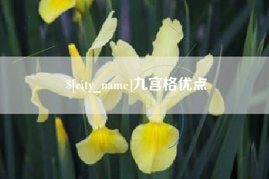 德清九宫格优点