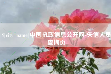 德清中国执政信息公开网-失信人员查询页