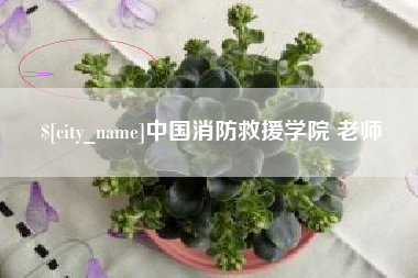德清中国消防救援学院 老师