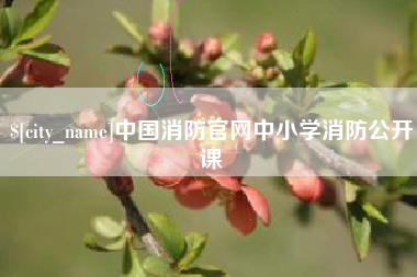 德清中国消防官网中小学消防公开课