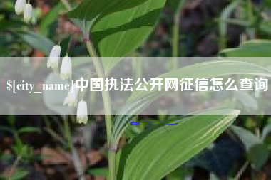 德清中国执法公开网征信怎么查询