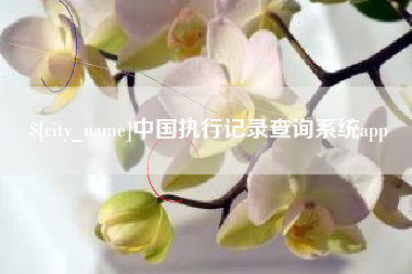 德清中国执行记录查询系统app