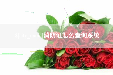 德清消防证怎么查询系统