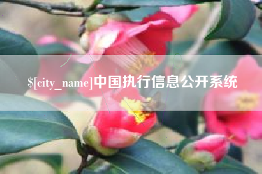 德清中国执行信息公开系统