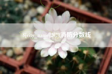 德清2021消防分数线
