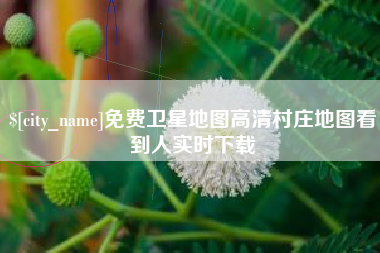 德清免费卫星地图高清村庄地图看到人实时下载