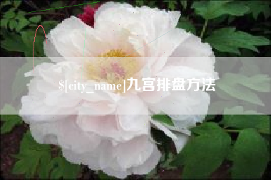 德清九宫排盘方法