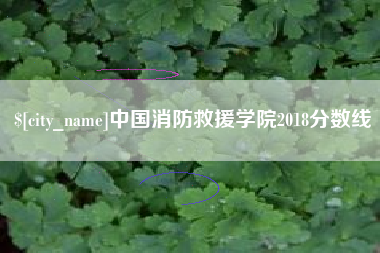 德清中国消防救援学院2018分数线