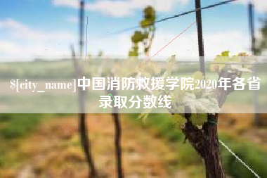 德清中国消防救援学院2020年各省录取分数线