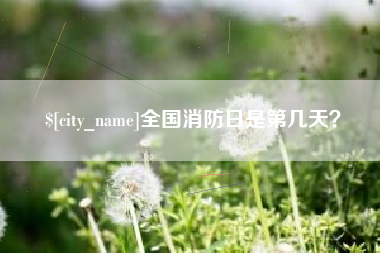 德清全国消防日是第几天？