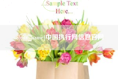 德清中国执行网信息官网