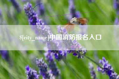 德清中国消防报名入口