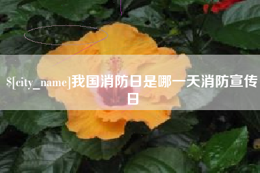 德清我国消防日是哪一天消防宣传日