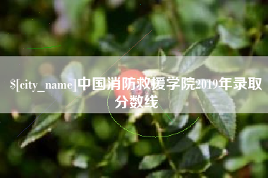 德清中国消防救援学院2019年录取分数线