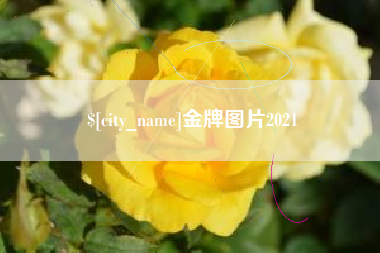 德清金牌图片2021