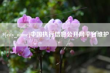 德清中国执行信息公开网平台维护