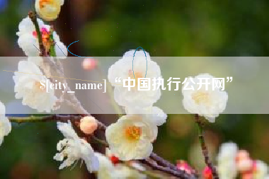 德清“中国执行公开网”
