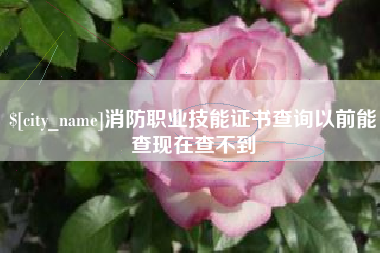 德清消防职业技能证书查询以前能查现在查不到