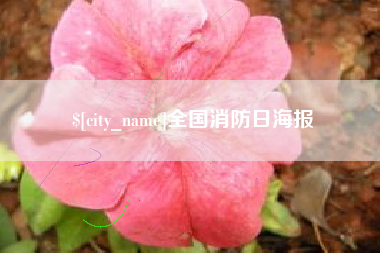 德清全国消防日海报