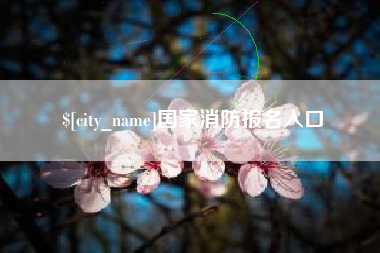 德清国家消防报名入口