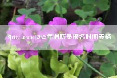 德清2025年消防员报名时间表格
