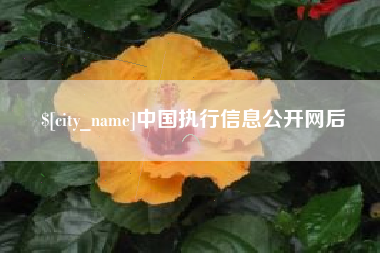 德清中国执行信息公开网后