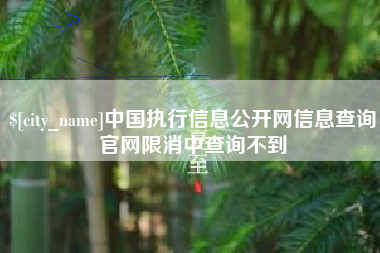 德清中国执行信息公开网信息查询官网限消中查询不到