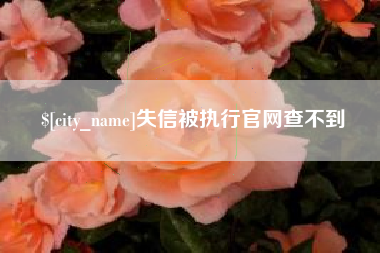 德清失信被执行官网查不到