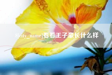 德清看看王子豪长什么样
