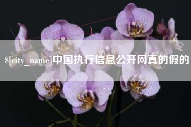 德清中国执行信息公开网真的假的