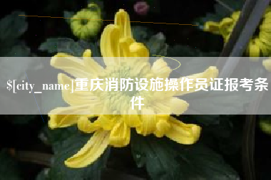 德清重庆消防设施操作员证报考条件