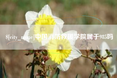 德清中国消防救援学院属于985吗