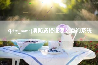 德清消防资格证怎么查询系统