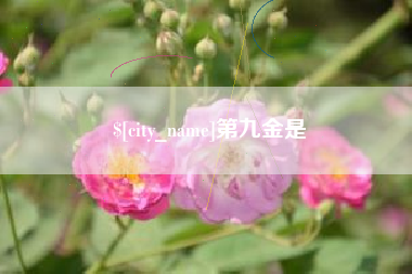 德清第九金是