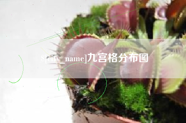 德清九宫格分布图