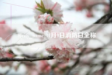 德清11月9日消防日全称