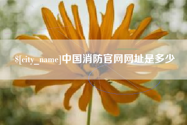 德清中国消防官网网址是多少