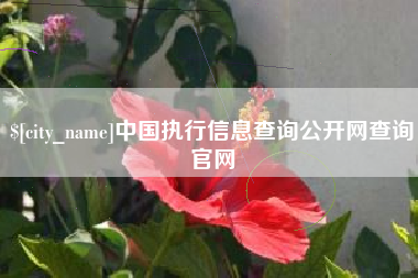 德清中国执行信息查询公开网查询官网