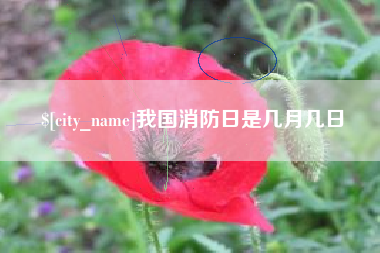 德清我国消防日是几月几日