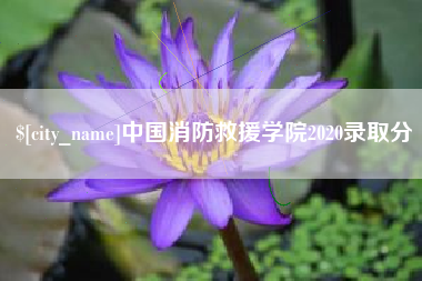 德清中国消防救援学院2020录取分