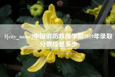 德清中国消防救援学院2019年录取分数线是多少