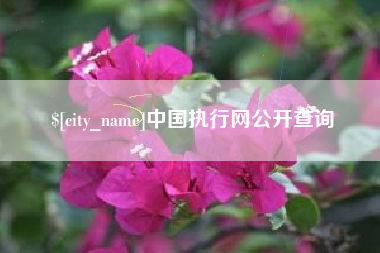 德清中国执行网公开查询