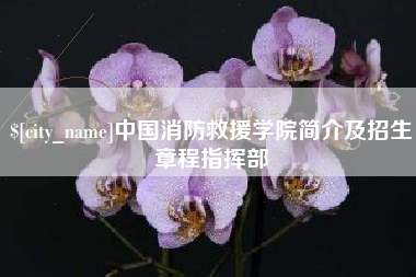 德清中国消防救援学院简介及招生章程指挥部
