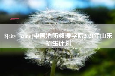 德清中国消防救援学院2021年山东招生计划