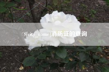德清消防证的查询