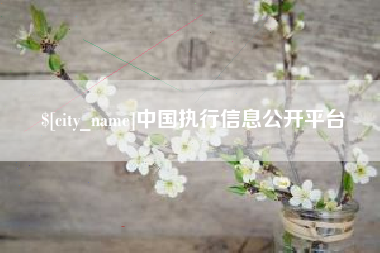 德清中国执行信息公开平台