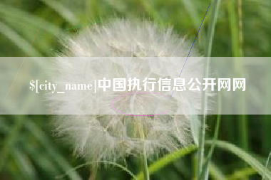 德清中国执行信息公开网网