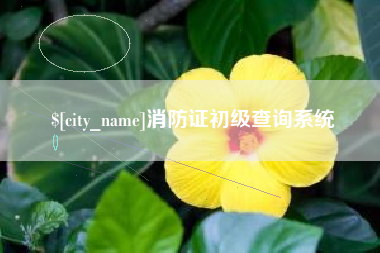 德清消防证初级查询系统