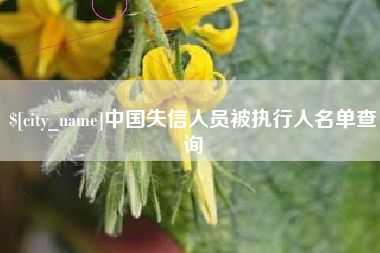 德清中国失信人员被执行人名单查询
